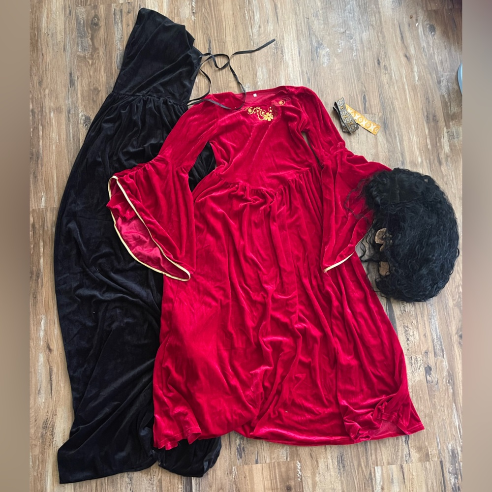 Women’s L- Mother Gothel Costume or Renaissance outfit with wig!